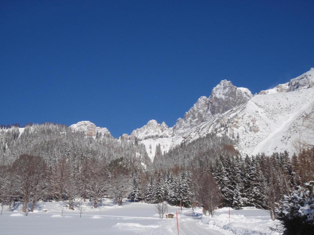 Gasthof Edelbrunn Ξενοδοχείο Ramsau am Dachstein Εξωτερικό φωτογραφία