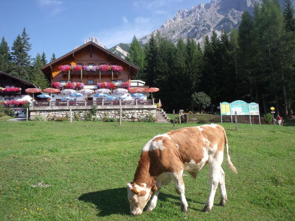 Gasthof Edelbrunn Ξενοδοχείο Ramsau am Dachstein Εξωτερικό φωτογραφία