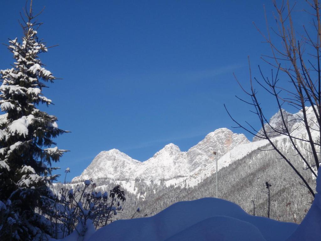 Gasthof Edelbrunn Ξενοδοχείο Ramsau am Dachstein Εξωτερικό φωτογραφία