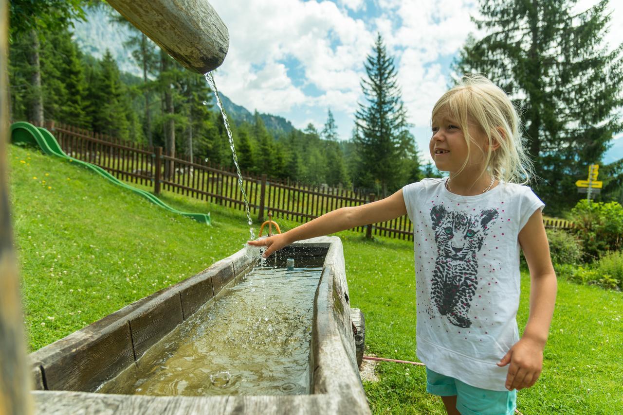 Gasthof Edelbrunn Ξενοδοχείο Ramsau am Dachstein Εξωτερικό φωτογραφία